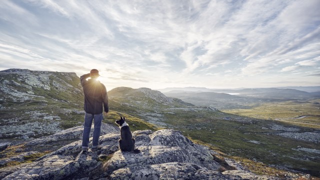Mann og hund på fjellet